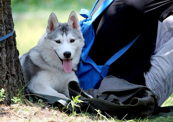 Виталий Силаков