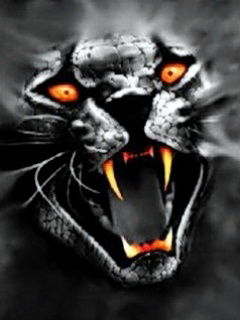 Алексей Берг