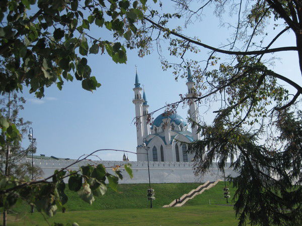 Светлана Шишкова