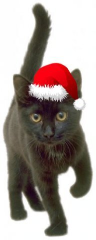 Владимир Фрукт