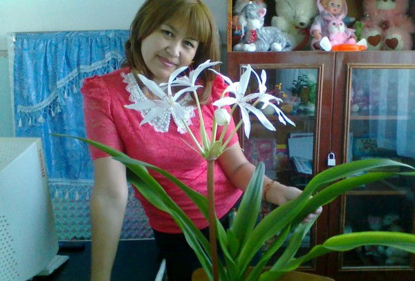 Гулсезим Темиргалиева