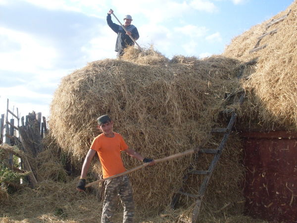 Ильдар Багаутдинов