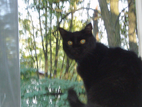 Олег Горняк