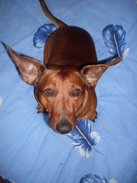 Wowa Кузнецов