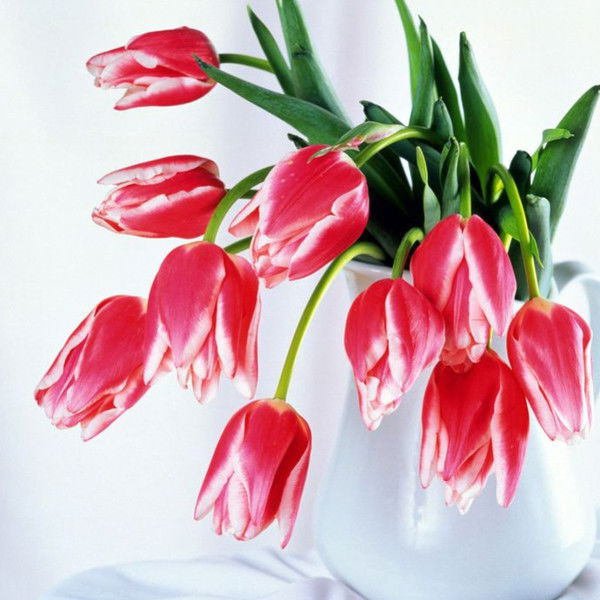 Людмила Воронкова