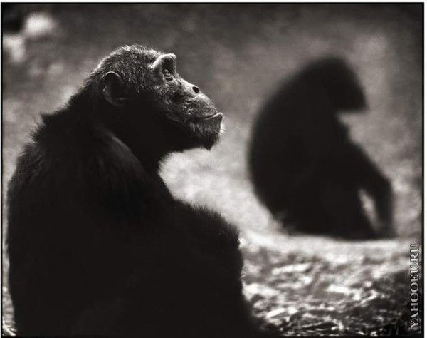 Ксения Гедзур