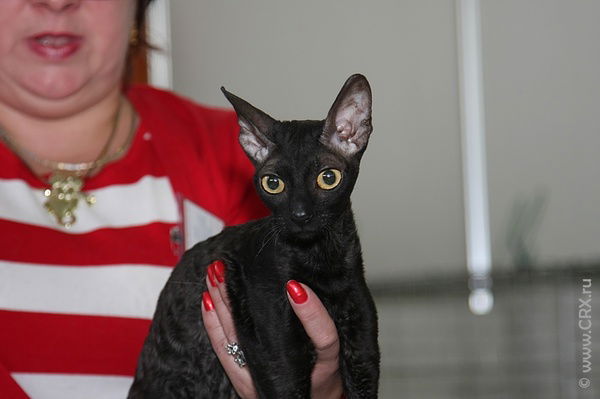 Наталия Осипова