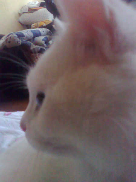 Екатерина Ярош