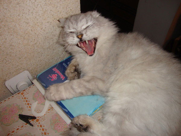 Александр Гузев