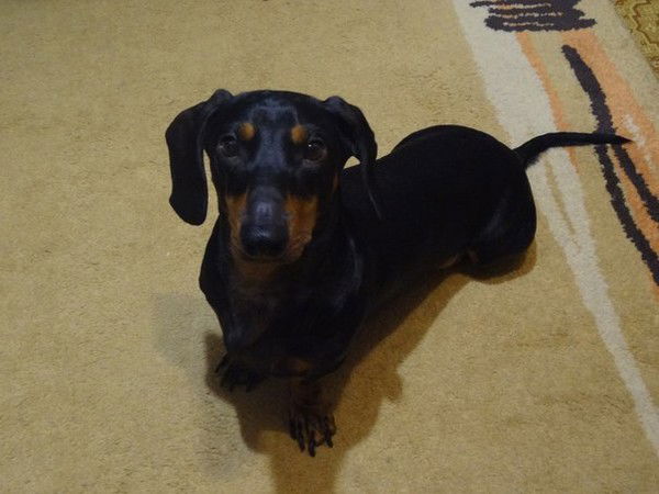 Валентина Волкова