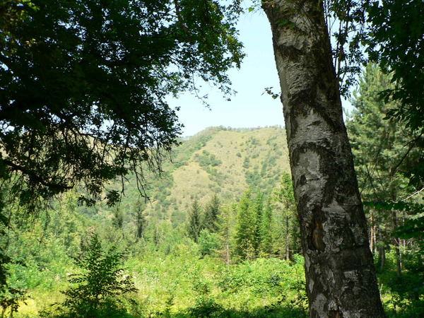 Оксана Дзюбчук