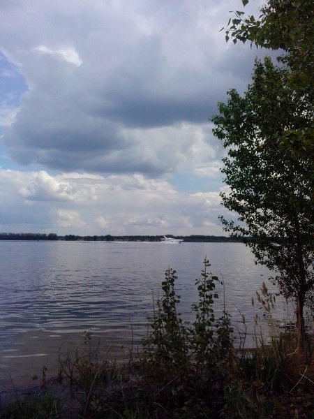 Cергей Шевченко