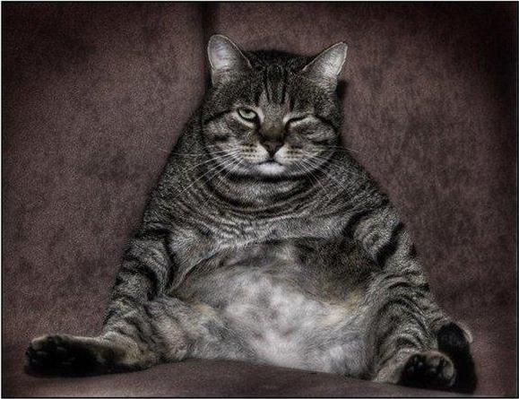 Роман Киселев