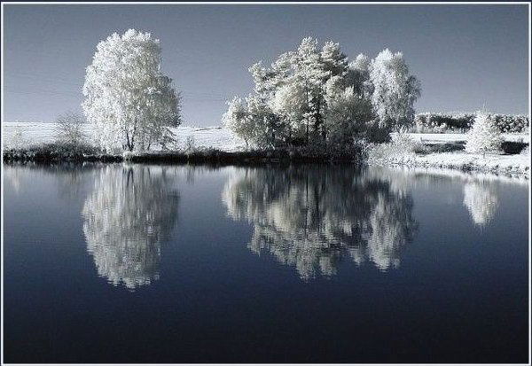 Сергей Дружкин