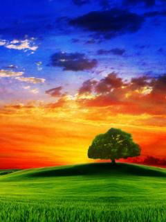 Ильдар Харисов