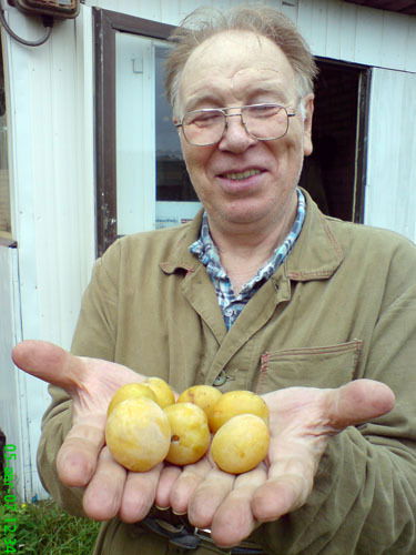 Роберт Мальгинов