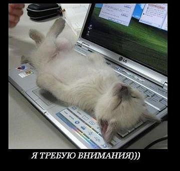 Людмила Белькова