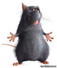 Нурсат Максат