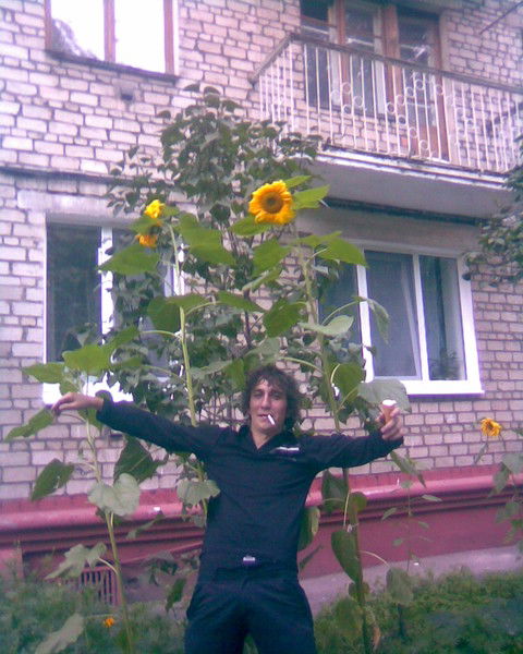 Андрей Panchik