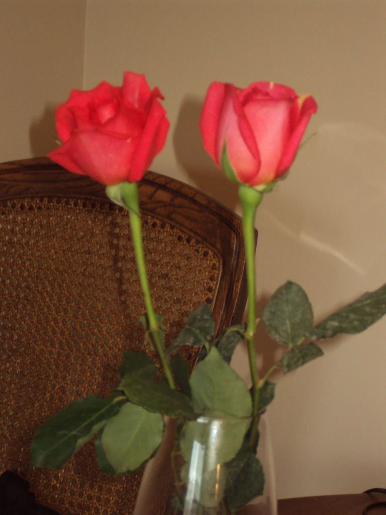 Татьяна Корниенко