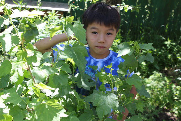 Ботагоз Дуанбекова