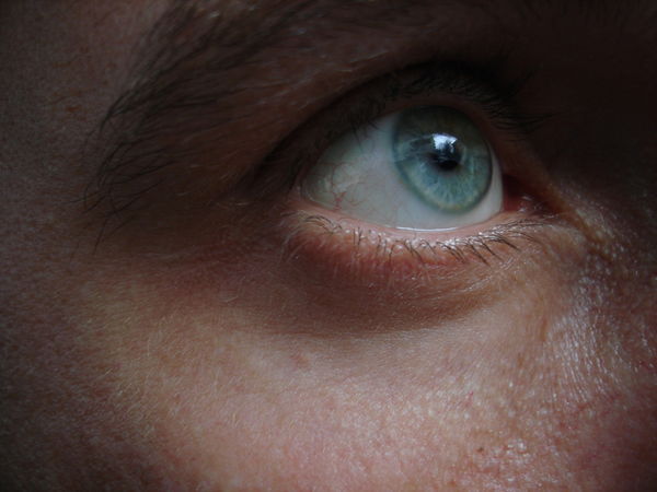 Дмитрий Ветров