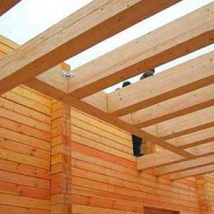 Слава Путин