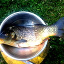 Кальяныч Буханкин