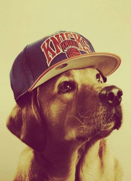 Анастасия Шилинко