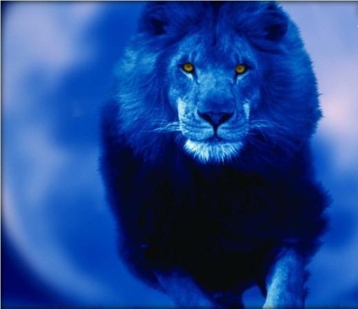 Юрий Синдимиров