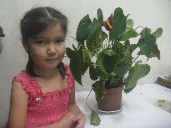 Адина Бекмурзаева