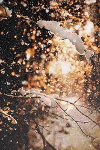 Валерия Шемеева