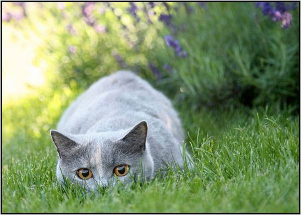 Анюта **************