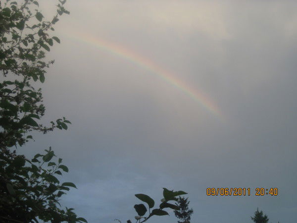 Марина Демченко (Шаня)