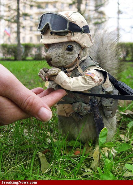 Сергей Петров