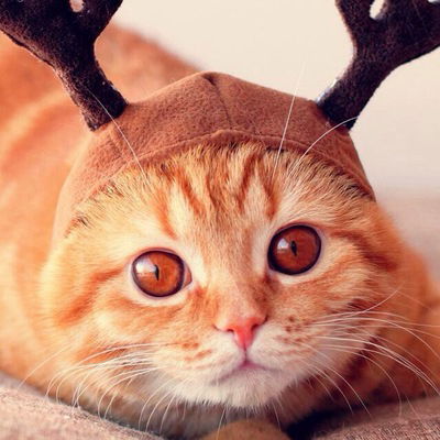 Настя Чернова