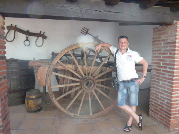 Дмитрий Яковлев