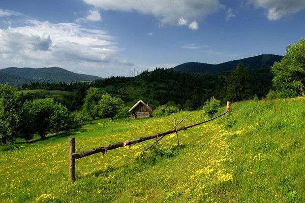 Семья Лысяные