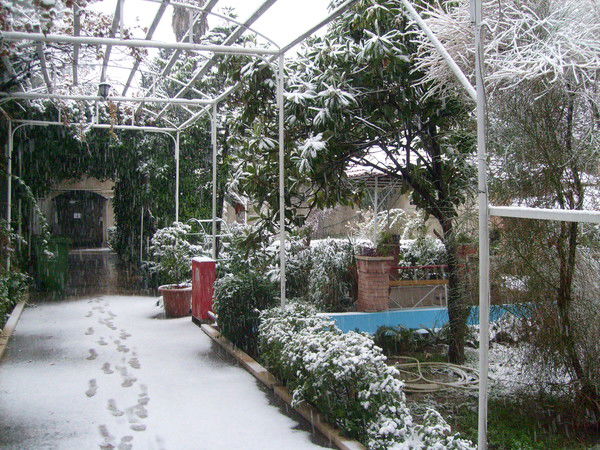 Никола Никола