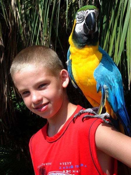 Сергей Касаткин