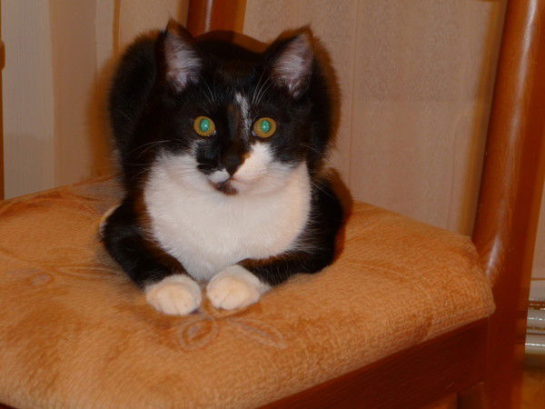 Саня Яковенко