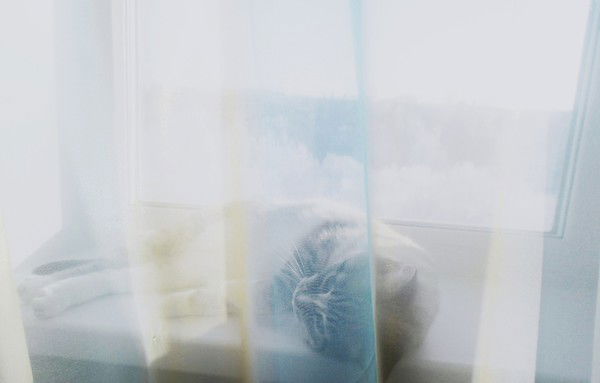 Маргарита Шейхматова