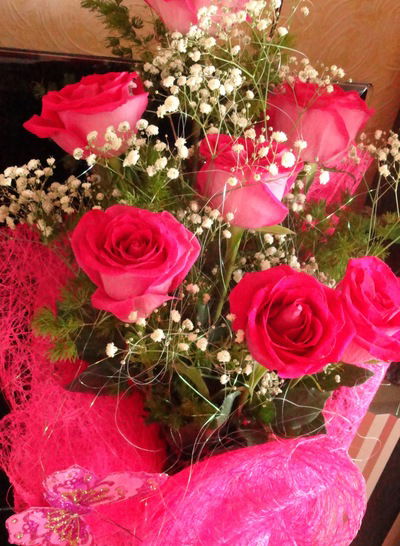 Ольга Малышева