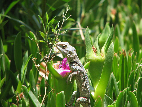 Юся Леньков