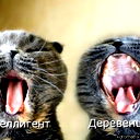 Виктор Слюсарь