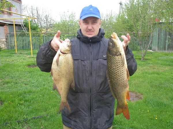 Анатолий Сердюков