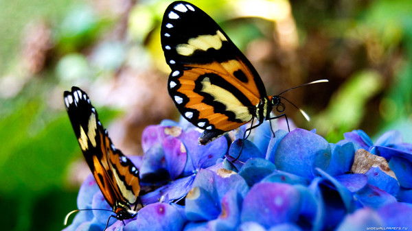 Анастасия Юрьевна