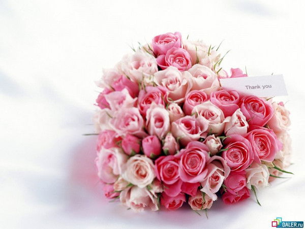 Света Булгакова