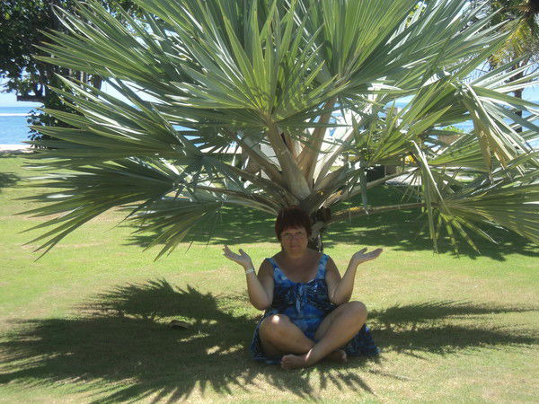 Татьяна Шахтарина (Князева)