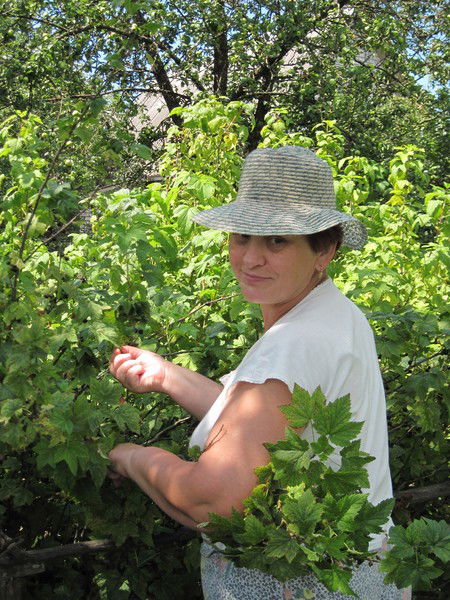 Шайкина Антонина